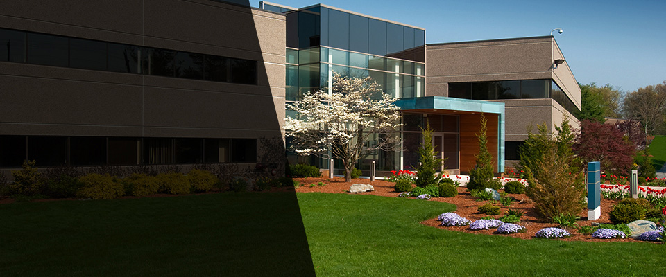 Daphne Landscapers