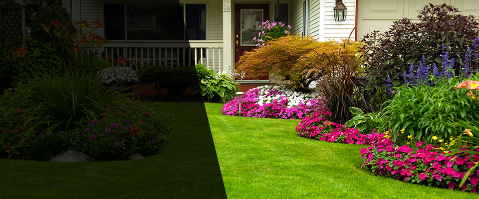 Daphne Landscapers